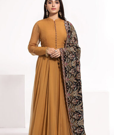 Stitched Long Frock With Embroidered Dupatta