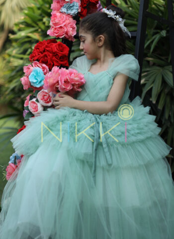 Beautiful Tulle Evergreen dress For Kids