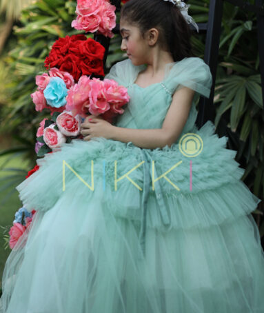 Beautiful Tulle Evergreen dress For Kids