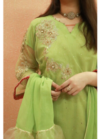 Embroidered Net Suit For Women