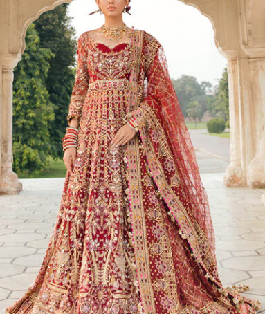 Net Embellished Mahjabeen Bridal Dress