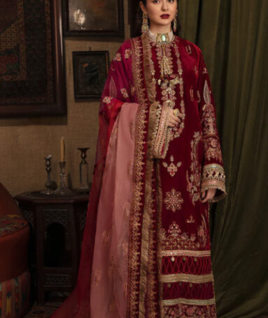 Zeenat Luxury Embroidered Velvet Dress